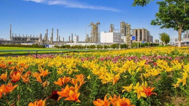 天津无机化工原料出口报关流程详解